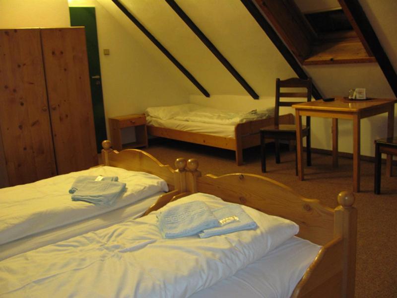 Cesky Statek 3*