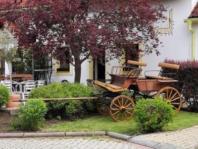Cesky Statek 3* Praga