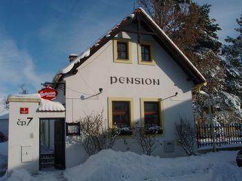 Pensjonat Cesky Statek 3*